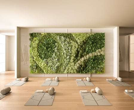 Yoga wellness space
